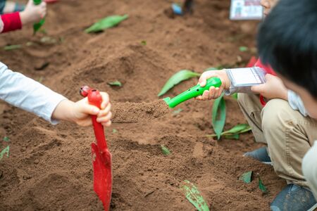 Closeup group of Asian school kids learn to plant tree seeds on sand outdoorの写真素材