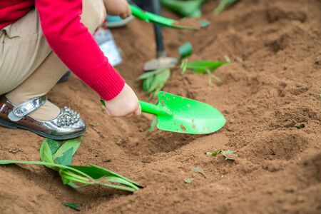 Closeup group of Asian school kids learn to plant tree seeds on sand outdoorの写真素材