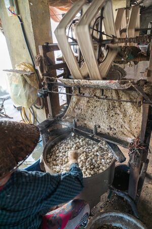 Silkworm cocoon is boilling and unwinding by Vietnamese worman to make silk thread at village in Nam Dinh province, Vietnamの写真素材