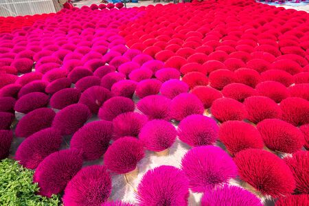 Incense sticks drying outdoor in north of Vietnamの写真素材