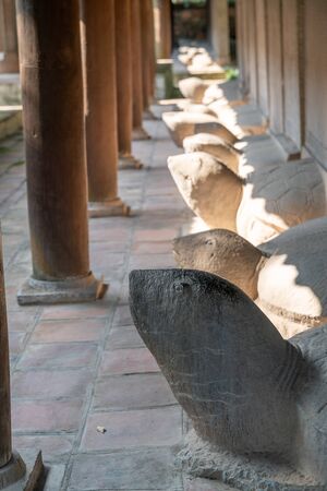 Stone turtle, Stelae of Doctors turtle statues in Temple of Literature (Van Mieu) in Hanoi, Vietnamの写真素材