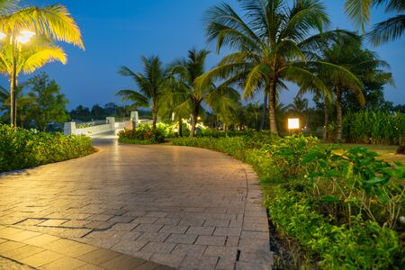 Road in resort park at night with palm trees on background. Soft focusの写真素材