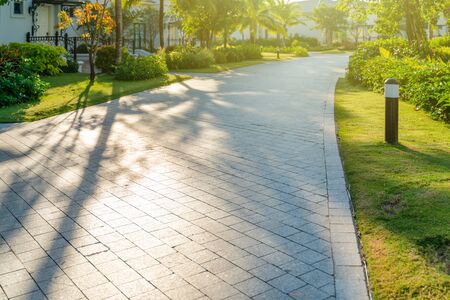 Road in holiday resort with green trees, grass and early sunlightの写真素材