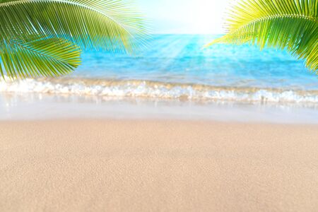 Tropical sea beach with sand, ocean, palm leaves and blue skyの写真素材