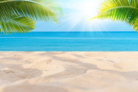 Tropical sea beach with sand, ocean, palm leaves and blue skyの写真素材