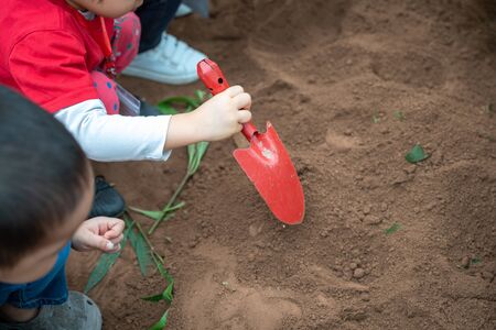 Closeup group of Asian school kids learn to plant tree seeds on sand outdoorの写真素材