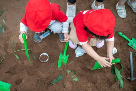 Closeup group of Asian school kids learn to plant tree seeds on sand outdoorの写真素材