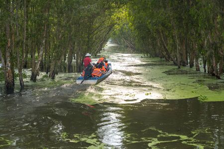 Tourism motorboat in cajuput forest in floating water season in Mekong Delta, Can Tho, Vietnamの写真素材