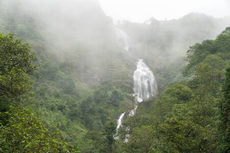 Thac Bac Waterfall (Silver Falls) on misty jungle in Sapa, Northern Vietnamの写真素材