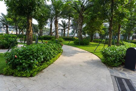 Urban walking road among green tree in modern apartment buildings in big city.の写真素材