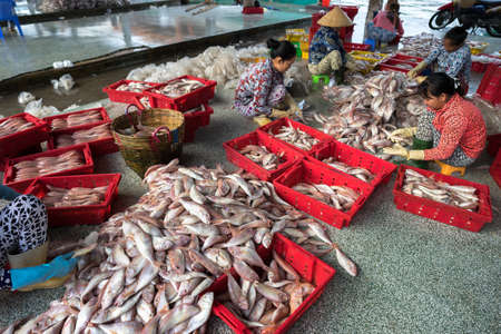 An Giang, Vietnam - Dec 6, 2016: Caught fishes with workers working at Tac Cau fishing port at dawn,...