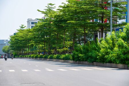 Hanoi street with green tree lines on Kim Ma streetの写真素材