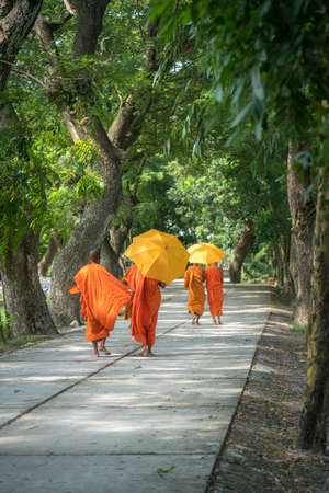 Monks in saffron robe and umbrella walking on rural road among trees in Mekong Delta, Vietnamの写真素材