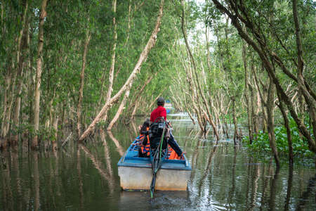 Tourism motorboat in cajuput forest in floating water season in Mekong Delta, Can Tho, Vietnamの写真素材