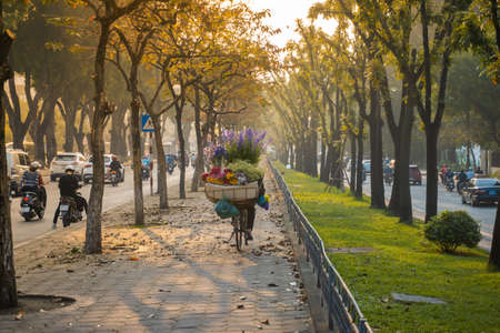 Flower basket on bike of street vendor on Hanoi street. Yellow leaf trees. Autumn or winter seasonの写真素材