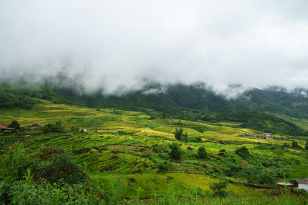Terraced rice field landscape with low clouds in Y Ty, Bat Xat district, Lao Cai, north Vietnamの写真素材