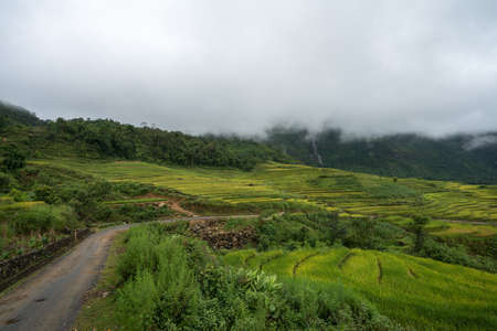 Terraced rice field landscape with low clouds in Y Ty, Bat Xat district, Lao Cai, north Vietnamの写真素材