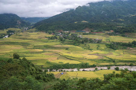 Terraced rice field landscape in harvesting season in Y Ty, Bat Xat district, Lao Cai, north Vietnamの写真素材