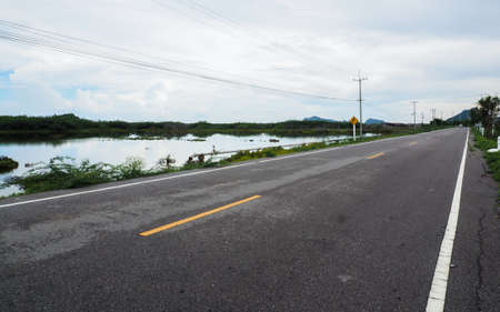 Road with turn sign next to a pondの写真素材