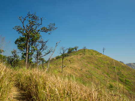 TREKKING PATHWAY WITH GROUP OF TREKKER IN BACKGROUNDの写真素材