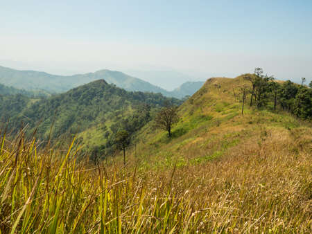GRASS FIELD ATOP A MOUNTAINの写真素材