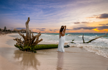 Woman in white dress standing next to a drift wood tree in a caribbean sunset, Tulum, Mexicoの写真素材