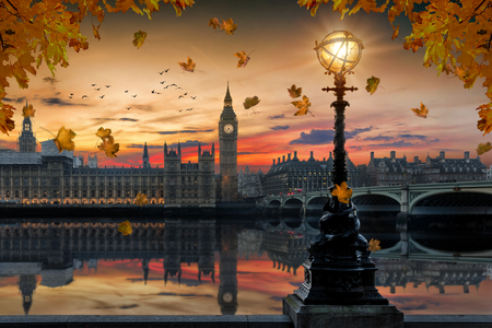 Autumn in London: golden sunset behind the Westminster Palace by the Thames river with falling autumn leafs from the trees in front, United Kingdomの写真素材