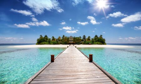 A wooden pier leading to a tropical paradise island with coconut palm trees, turquoise sea and sandy...