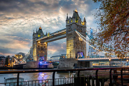 Autumn sunrise view to the illuminated Tower Bridge of London, United Kingdom, with a tree with golden leafs in frontの写真素材