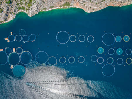 Aerial top down view of the round shaped nets of a large fish farm in the blue, mediterranean sea in Greeceの写真素材
