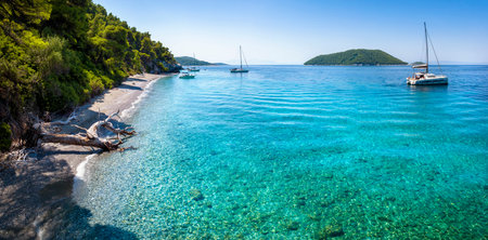 Panoramic view of the beautiful Ftelia beach with emerald sea and Pine Trees at Skopelos island, Sporades, Greeceの写真素材