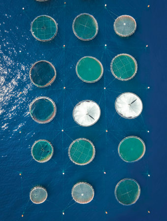 Aerial top down view at the circle shaped nets at a fish farm in the blue, mediterranean sea in Greeceの写真素材