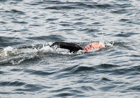 STOCKHOLM - AUG 23, 2014: One female triathlete swimming in the Woman's ITU World Triathlon series event Aug 23, 2014 in Stockholm, Swedenのeditorial素材
