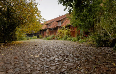 Flagstones leading to a beautiful cottage in the vegetationの写真素材