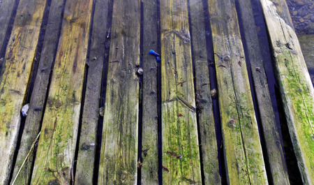Wooden ramp used for putting boats into sea and the sky reflecting in the waterの写真素材