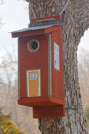Bird house in a tree painted as a traditional country houseの写真素材
