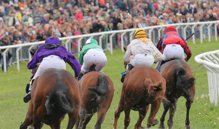 STOCKHOLM - JUNE 06: Rear view of four race horses in a curve at the Nationaldags Galoppen at Gardet. June 6, 2015 in Stockholmのeditorial素材