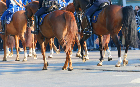 STOCKHOLM - JUN 06, 2015: The Royal guards in blue dresses on the horse back protecting the swedish royal family on their way to celebrate the swedish national dayのeditorial素材