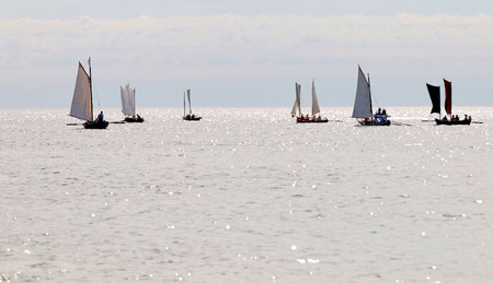GRISSLEHAMN - JUN 13, 2015: Group of old sailing ships rowing towards the horizon from Grisslehamn (Sweden) to EckerÃ¶ (Ãland) in the public event Postrodden, June 13, 2015 in Grisslehamn, Swedenのeditorial素材