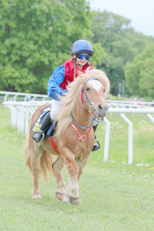 STOCKHOLM - JUNE 06, 2015: Young girl wearing sun glasses sitting on a cute brown pony at the Nationaldags Galoppen at Gardet. June 6, 2015 in Stockholmのeditorial素材