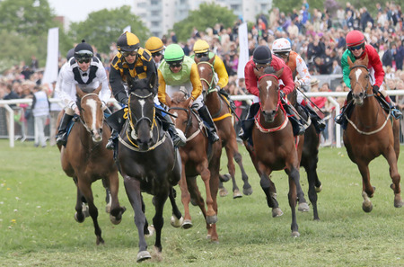 STOCKHOLM - JUNE 06: Tough race between the race horses and jockeys in colorful clothes at the Nationaldags Galoppen at Gardet. June 6, 2015 in Stockholmのeditorial素材