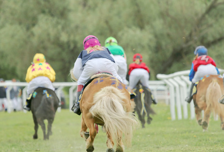 STOCKHOLM - JUNE 06: Rear view of five racing ponys at the Nationaldags Galoppen at Gardet. June 6, 2015 in Stockholmのeditorial素材