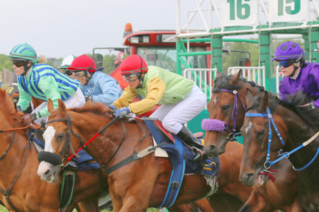 STOCKHOLM - JUNE 06: One moment after the start in the horse race at the Nationaldags Galoppen at Gardet. June 6, 2015 in Stockholmのeditorial素材