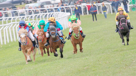 STOCKHOLM - JUNE 06: Tough race between the pony race horses at the Nationaldags Galoppen at Gardet. June 6, 2015 in Stockholmのeditorial素材