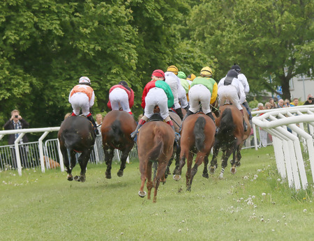 STOCKHOLM - JUNE 06: Rear view of a group of race horses in a curve at the Nationaldags Galoppen at Gardet. June 6, 2015 in Stockholmのeditorial素材