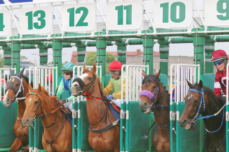 STOCKHOLM - JUNE 06: The start in the horse race at the Nationaldags Galoppen at Gardet. June 6, 2015 in Stockholmのeditorial素材