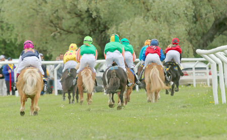 STOCKHOLM - JUNE 06: Rear view of  a large group of racing ponys at the Nationaldags Galoppen at Gardet. June 6, 2015 in Stockholmのeditorial素材