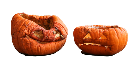 Two isolated aged pumkinsの写真素材