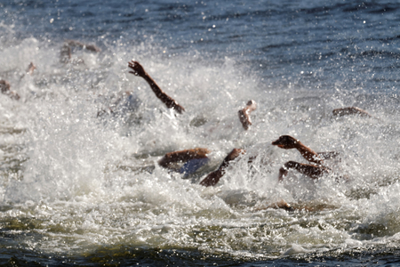STOCKHOLM - AUG 22, 2015: Chaos of swimming arms in the water in the Men's ITU World Triathlon series event August 22, 2015 in Stockholm, Swedenのeditorial素材