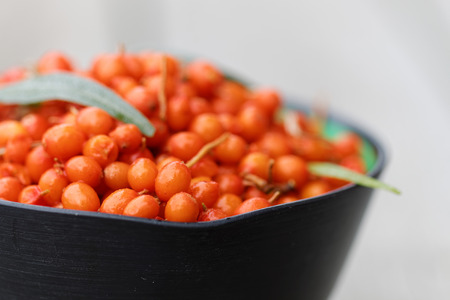 Sea buckthorn in a bowl, very short depth of focus. Gray backgroundの写真素材